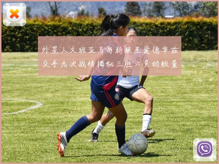 外星人文班亚马与新狼王爱德华兹交手九次战绩揭秘三胜六负的较量分析